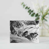 ヴィンテージアラスカ・エスキモー・マラムート・スレース ポストカード (スタンド正面)