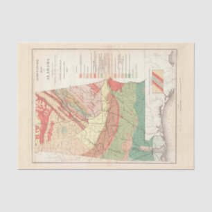 ヴィンテージアラバマの農業地図（1882年） 薄葉紙