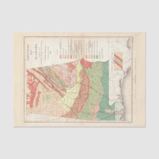 ヴィンテージアラバマの農業地図（1882年） 薄葉紙