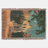 ヴィンテージアラモブランケット スローブランケット (正面)