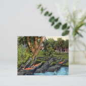 ヴィンテージアリゲーターカルテバヤノリバーパナマ ポストカード (スタンド正面)