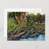 ヴィンテージアリゲーターカルテバヤノリバーパナマ ポストカード (正面/裏面)