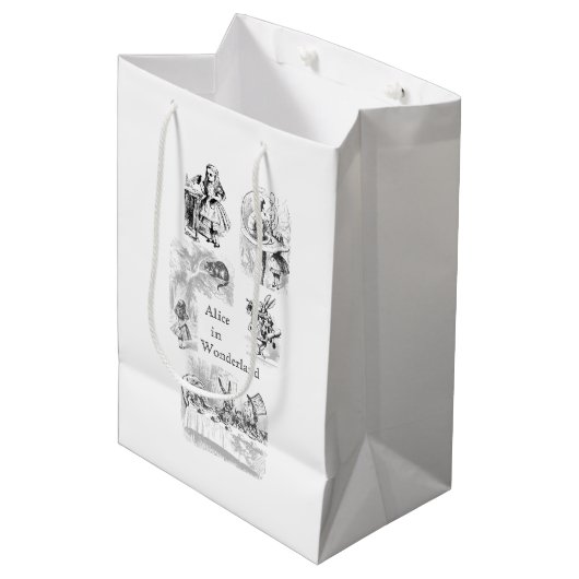 ヴィンテージアリスインワンダーランドをテーマにした抱き枕 ミディアムペーパーバッグ (正面アングル)