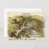 ヴィンテージアリスinワンダーランドはがき ポストカード (正面/裏面)