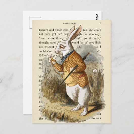ヴィンテージアリスinワンダーランドはがき ポストカード (正面/裏面)