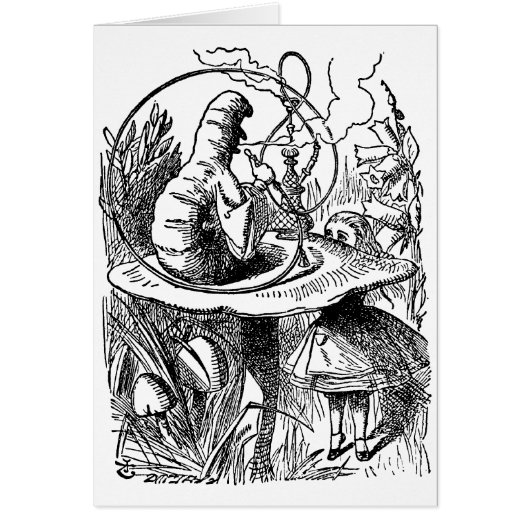 ヴィンテージアリスinワンダーランドフーカキャタピラー (正面)