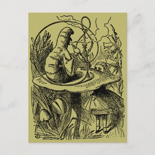 ヴィンテージアリスinワンダーランドフーカキャタピラー ポストカード (正面)