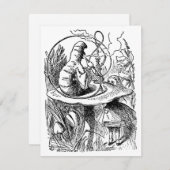 ヴィンテージアリスinワンダーランドフーカキャタピラー 招待状 (正面/裏面)