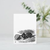 ヴィンテージアリスinワンダーランドブラックキャットブックスケッチ ポストカード (スタンド正面)