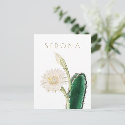ヴィンテージアリゾナの花は世紀半ばを旅行 ポストカード (スタンド正面)