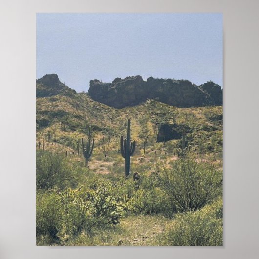 ヴィンテージアリゾナデザートランドスケープSaguaro Cactus ポスター (正面)
