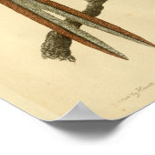 ヴィンテージアルガスキジ自然史プリント鳥 ポスター (角)