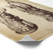 ヴィンテージアルケミカルイラストレーション ポスター (角)