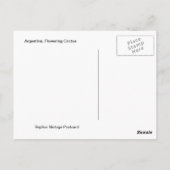 ヴィンテージアルゼンチンの花盛りのサボテン ポストカード (裏面)