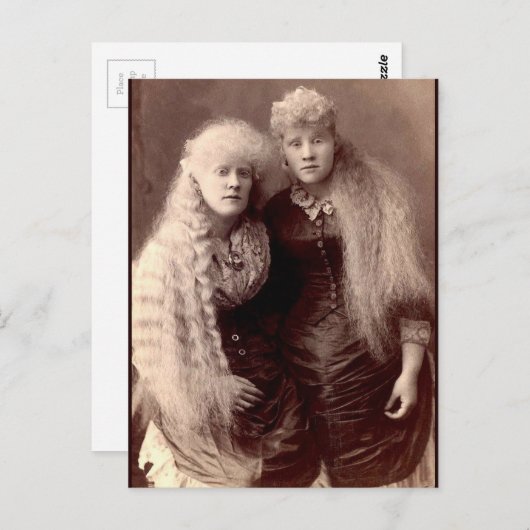 ヴィンテージアルビノ美しい ポストカード (正面/裏面)