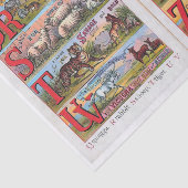 ヴィンテージアルファベット図解入りの、写真付きのブックティッシュPa 薄葉紙 (詳細)