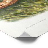 ヴィンテージアルマジロイラストレーション ポスター (角)