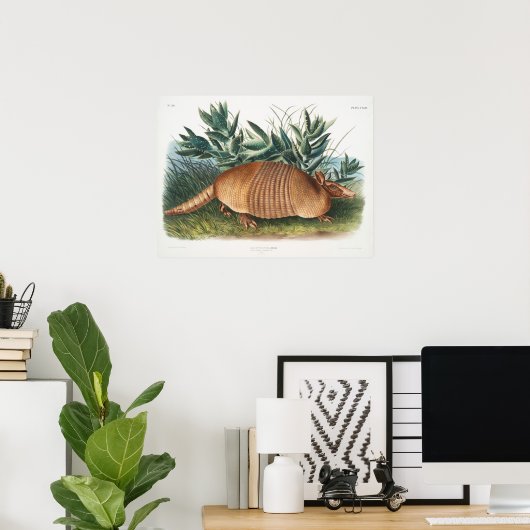 ヴィンテージアルマジロイラストレーション ポスター (ホームオフィス)