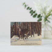 ヴィンテージアレゲニー国立森林（ペンシルバニア州） ポストカード (スタンド正面)