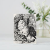 ヴィンテージアンゴラキャット1800sペルシャ猫イラストレーション ポストカード (スタンド正面)