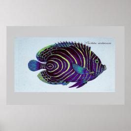 ヴィンテージアンジェフィッシュプリント ポスター