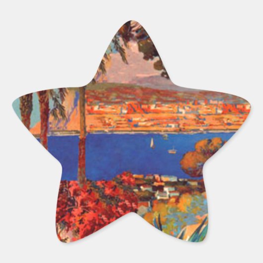 ヴィンテージアンティベスコートダジュール 星シール (正面)