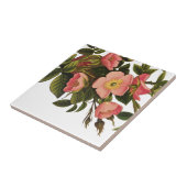 ヴィンテージアンティークアートバラフラワーアートイラストレーション タイル (側面)