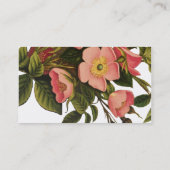 ヴィンテージアンティークアートバラフラワーアートイラストレーション 名刺 (裏面)