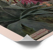 ヴィンテージアンティークカンヌフランスの旅行広告 ポスター (角)