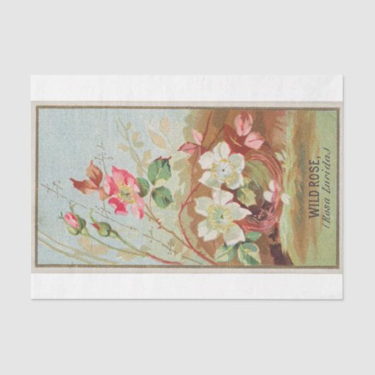 ヴィンテージアンティーククラシックワイルドバラフラワー 薄葉紙 (正面)
