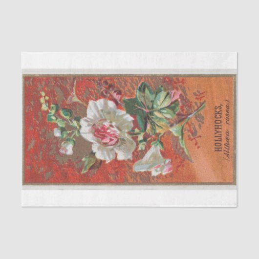 ヴィンテージアンティーククラシック葵の花 薄葉紙 (正面)
