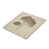 ヴィンテージアンティークセピアアジランゲアカントリーフローラ タイル (側面)