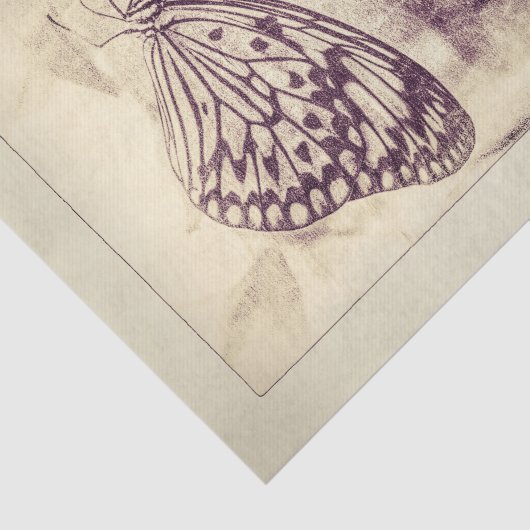 ヴィンテージアンティークセピアバタフライデカップアート 薄葉紙 (詳細)