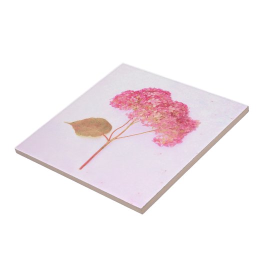 ヴィンテージアンティークチックピンクアジランジアカントリーフローラ タイル (側面)