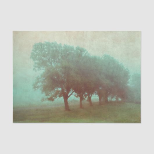 ヴィンテージアンティークティール(緑がかった色)テクスチャ景観分離 薄葉紙 (正面)