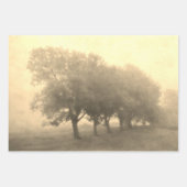 ヴィンテージアンティークティール(緑がかった色)テクスチャ横方向デコパージ ラッピングペーパーシート (正面3)