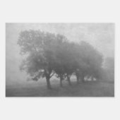 ヴィンテージアンティークティール(緑がかった色)テクスチャ横方向デコパージ ラッピングペーパーシート (正面2)