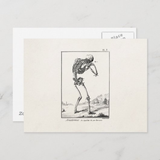 ヴィンテージアンティークヒト骨格医療解剖学 ポストカード (正面/裏面)
