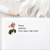 ヴィンテージアンティークピンクガーデンバライン開花 ラベル (インサイチュ)