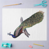 ヴィンテージアンティークピーコックデクページ 薄葉紙 (クラフト)