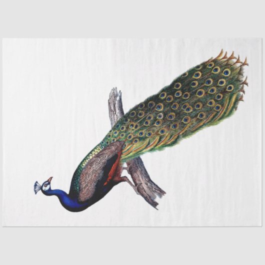 ヴィンテージアンティークピーコックデクページ 薄葉紙 (正面)