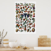 ヴィンテージアンティークフランスのフルーツプリントポスター ポスター (キッチン)