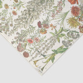 ヴィンテージアンティークフローラデカップクレフター 薄葉紙 (詳細)