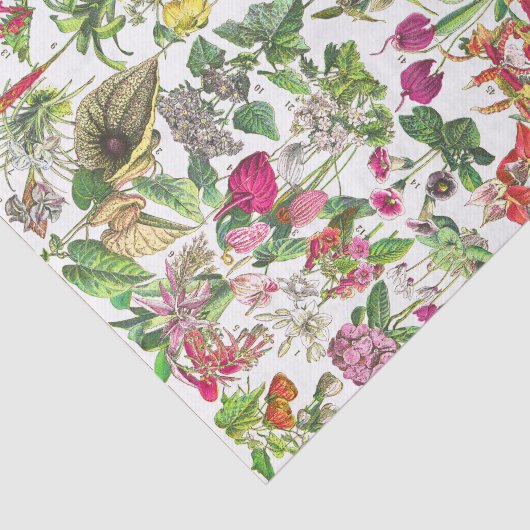 ヴィンテージアンティークフローラデカップクレフター 薄葉紙 (詳細)