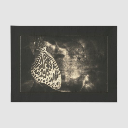 ヴィンテージアンティークブラウンセピアバタフライデクページ 薄葉紙 (正面)