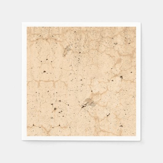 ヴィンテージアンティークベージュカントリーファームハウステクスチャ スタンダードカクテルナプキン (正面)