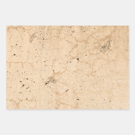 ヴィンテージアンティークベージュカントリーファームハウス ラッピングペーパーシート (正面2)