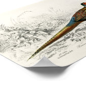 ヴィンテージアンティークリングや輪キジ ポスター (角)