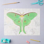 ヴィンテージアンティークルナモスバタフライデクページ 薄葉紙 (クラフト)