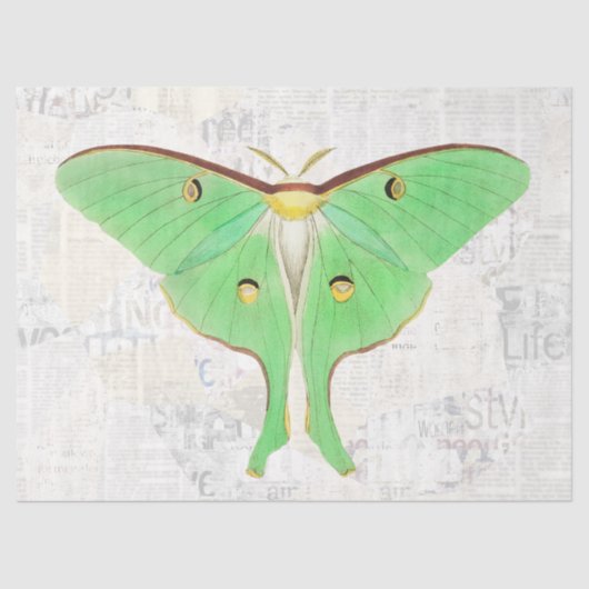 ヴィンテージアンティークルナモスバタフライデクページ 薄葉紙 (正面)